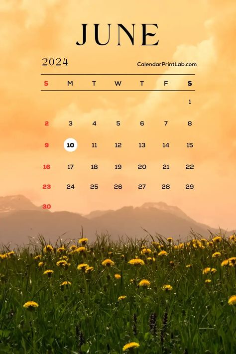 iPhone June 2024 Calendar Wallpapers Calendar June 2024, June 2024 Calendar, June Calendar 2024, June Wallpaper, Home Screen Iphone, Android Wallpaper Blue, Summer Calendar, Screen Iphone, Inspirational Board