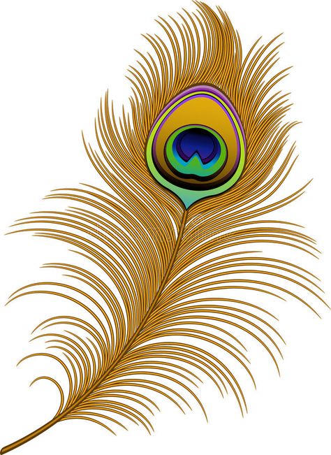 Peacock Feather Drawing, Feather Clip Art, Peacock Feather Art, Peacock Images, Peacock Feather Tattoo, Feather Drawing, Feather Vector, Peacock Wall Art, Afrique Art