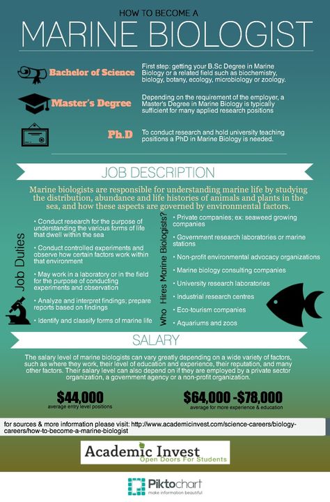 How to Become a Marine Biologist --http://www.academicinvest.com/science-careers/biology-careers/how-to-become-a-marine-biologist #marinebiology #marinebiologist Marine Biology Projects, Ocean Jobs, Marine Biologist Outfit, Biology Careers, Science Careers, Oceanography Marine Biology, Future Marine, Biology Major, Marine Science