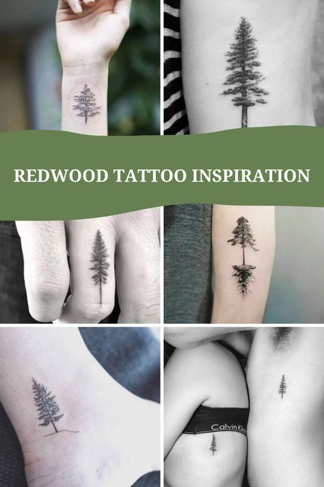 47+ Redwood Tree Tattoo Ideas (Meaning Survival + Strength) - TattooGlee Nature, 3 Pine Tree Tattoo, Simple Redwood Tree Tattoo, Redwood Tree Tattoo, Tiny Tree Tattoo, Tattoo Ideas Meaning, Redwood Tattoo, Tatoo Tree, Small Nature Tattoo