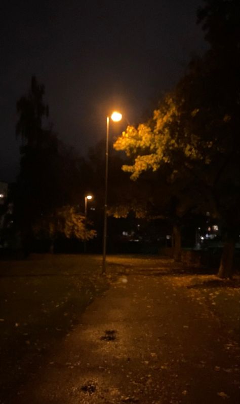 Autumn At Night Aesthetic, Fall At Night Aesthetic, Fall Evening Aesthetic, Night Walk Pics, Night Autumn Aesthetic, Autumn Walk Aesthetic, Midnight Walk Aesthetic, Autumn Night Aesthetic, Night Fall Aesthetic