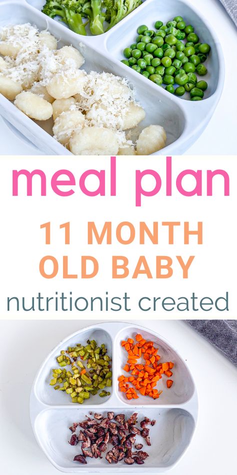 11 month old baby food needs described in this meal plan created by a nutritionist. Pincer grasp and finger food recipes for your baby. #baby #pincergrasp #11monthold Essen, 11 Month Old Food, 10 Month Old Baby Food, 11 Months Baby Food, Baby Meal Plan, Daycare Meals, 11 Month Old Baby, Baby Lunch, Baby Dinner