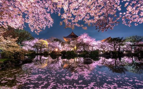 Japan Wallpaper, Japan Cherry Blossom, Spring In Japan, Japan Spring, Cherry Blossom Wallpaper, Japan Sakura, Cherry Blossom Japan, Wallpapers Ipad, Japan Garden