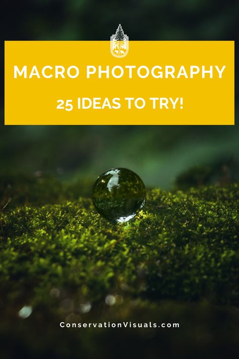 Looking to take your nature and wildlife photography to the next level? Our comprehensive guide features 25 amazing macro photography ideas that you can easily try at home. Discover tips, techniques, and examples to inspire your creativity and elevate your photography skills. Interesting Images Photographs, Photography Landscape Ideas, Cool Photography Tricks, Cool Tone Photography, Wall Photography Ideas, At Home Photography Ideas, Photography Tricks Creative, Super Macro Photography, Unique Photography Ideas