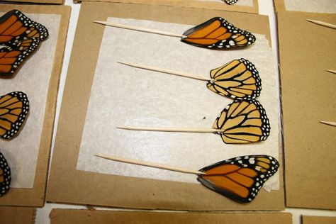 Butterfly Wings Tutorial, Diy Papillon, Real Butterfly Wing Jewelry, Butterfly Wings Art, Diy Fairy Wings, How To Make Butterfly, Butterfly Wing Jewelry, Art Papillon, Diy Wings