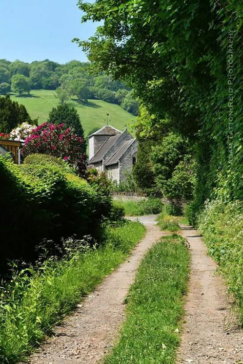 British country lanes.  It's amazing the beauty that you can find just down the road in your own village. Here is a great view of Llyswen church from a farmers lane, hedgerows and trees in full Summer greenery. Country Life, British Country, Country Roads Take Me Home, Country Scenes, Dirt Road, Village Life, English Countryside, Pretty Places, Lush Green