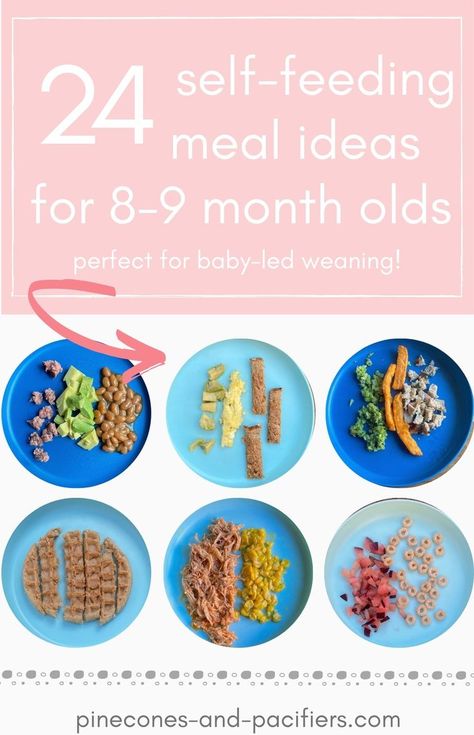 Foods To Give A 9 Month Old, 8 Months Food Ideas, Finger Foods 9 Month Old, Blw Ideas 9 Months, 8 Month Old Baby Food Schedule, Food 9 Month Old Baby, What To Feed 8 Month Old, Easy 8 Month Old Meals, 9 Months Food Ideas