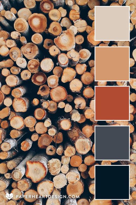 Wood Color Palette, Rust Color Palette, Colour Pantone, Earth Colour Palette, Terracotta Color Palette, Rustic Color Palettes, Neutral Earth Tones, Earth Tone Color Palette, Black Color Palette