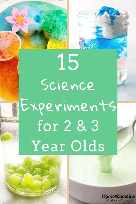 Science Experiments for 2 and 3 Year Olds - Homeschooling Preschool Montessori, Science Activities For Two Year Olds, 2 Year Homeschool, Science For 3 Yrs Old, Science Discovery Preschool, Montessori Preschool Activities Science Experiments, Science For Two Year Olds, Two Year Old Science Activities, Daycare Activities For Three Year Olds