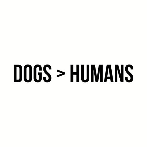Dogs Over Humans Quotes, Dogs Better Than Humans Quotes, Dog Better Than Human Quotes, Dogs Are More Loyal Than People Quotes, I Like Dogs More Than People, I Love Dogs Quotes, Caption For Animal Lover, Dog Lover Captions, Animals Are Better Than People Quotes