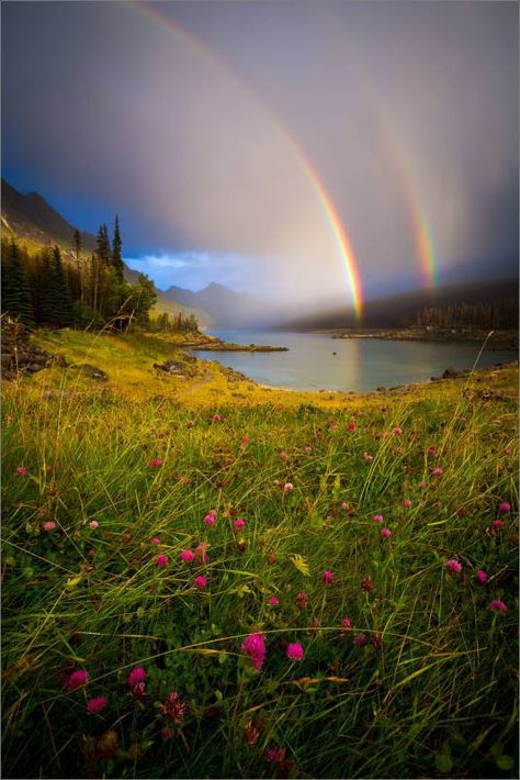 Nature, Rainbow Landscape Photography, Landscape With Rainbow, Rainbow Photography Nature, Christopher Martin, Rainbow Landscape, Gods Promise, Rainbow Waterfall, Rainbow Lake