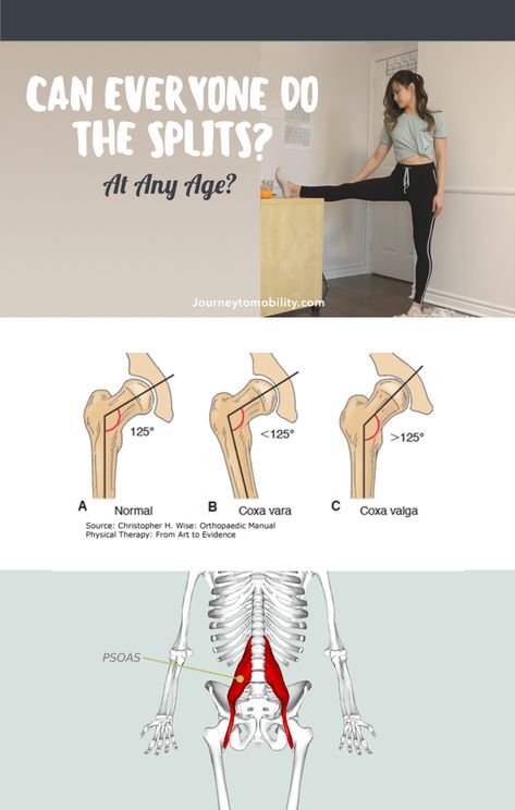 With consistent practice, most healthy adults can train and eventually learn how to do the splits. However, there are some structural differences that make it more optimal for some people to be training for the splits and less optimal for others.   In this post I'll be going over what those structural differences are and a simple test you can do at home to determine if you have the potential to get the splits. Learn How To Split For Beginners, Splits For Non Flexible People, Splits Training For Beginners, How To Learn Splits, Standing Splits How To Do, How To Middle Splits, How To Get Front Splits, Straddle Split Stretches, How To Do A Middle Split