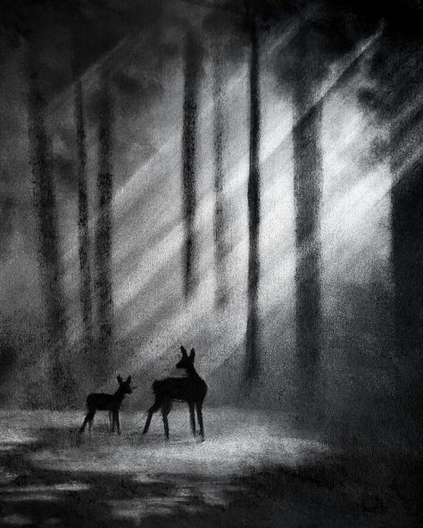 nighttime animal charcoal drawing Animals Charcoal Drawing, Charcoal Art Scenery, Charcoal Ghost Drawing, Black Charcoal Art, Forest Charcoal Drawing, Scenery Charcoal Drawing, Charcoal Art Nature, Charcoal Drawing Scenery, Charcoal Fantasy Art