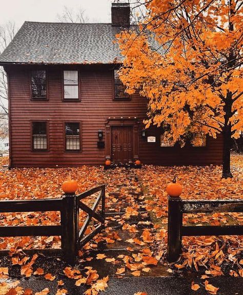 Very inviting! 🧡💛 - Fall Pictures by Jessie Fall Season Pictures, October Vibes, Fall Cottage, Country Photography, Autumn Magic, Falafels, Fall Beauty, Autumn Scenes, Autumn Scenery