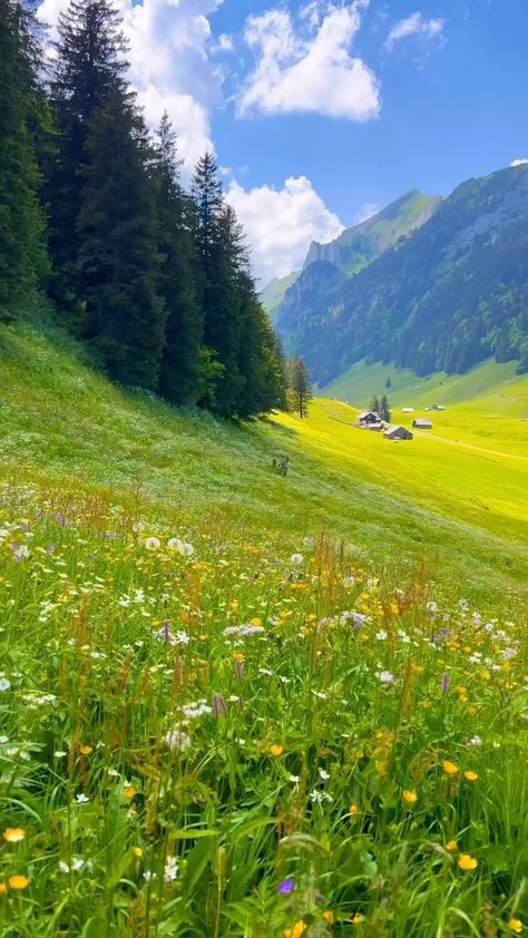 Daydreaming of this place 💕 📍Switzerland Video by @swisslover #cottagecoredream #cottagecore #switzerlandwonderland | Instagram Mexico Destinations, Nature, Cottagecore Places, Switzerland Mountains, Honeymoon Destination Ideas, Waterfall Adventure, Beautiful Landscape Photography, Interlaken, Amazing Nature Photos