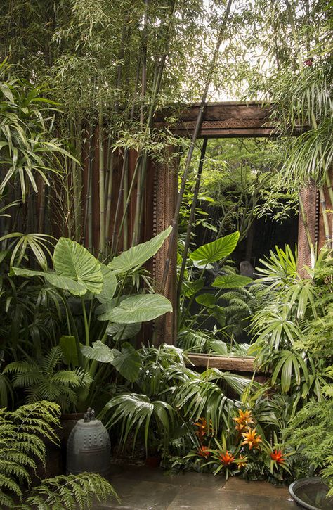 Tropical Backyard Landscaping, Bali Garden, Tropical Landscape Design, Balinese Garden, Tattoo Plant, Tropical Garden Design, Jungle Gardens, Tropical Backyard, Backyard Garden Landscape