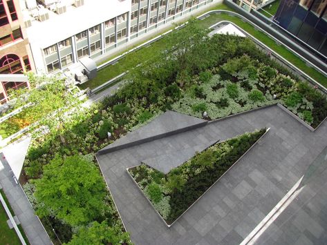 Paved Terrace, Stone Seating, Roof Landscape, Blue Limestone, Roof Gardens, Modern Roofing, Areas Verdes, Landscape Construction, Roof Architecture