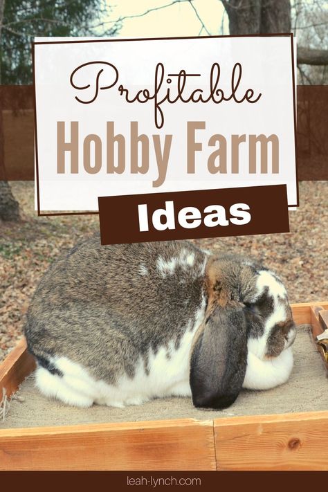 Hobby Farm Ideas, Hobby Farms Layout, Micro Farm, Moderne Pools, Small Backyard Design Ideas, Farm Plans, Tree House Diy, Farm Layout, Homestead Farm