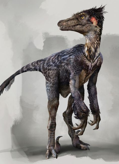 25 Concept Art and Illustrations of Dinosaurs - so much dinosaur goodness!   by Daren_Horley  and others Feathered Raptor, Feathered Dinosaurs, Raptor Dinosaur, Fauna Marina, Prehistoric Dinosaurs, Prehistoric World, Concept Art World, Ancient Animals, Paleo Art