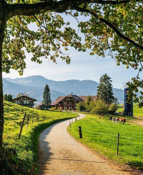 Nature, Switzerland Countryside, Natures Path, Driveway Landscaping, Landscaping Images, Beautiful Roads, Pretty Landscapes, Landscape Photography Nature, Wallpaper Nature Flowers