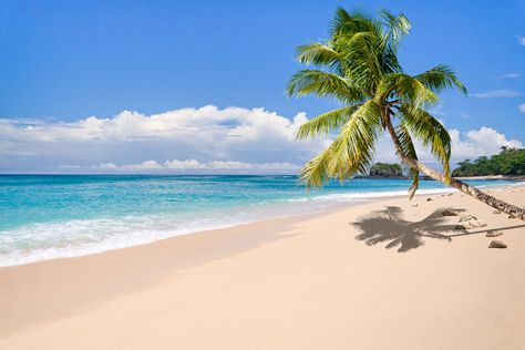 This Beer Company Is Giving Away a Spring Break Trip to a Deserted Island Strand Wallpaper, Tropical Island Beach, Island Wallpaper, Spring Break Trips, Beach House Art, Beer Company, Romantic Beach, Desert Island, Beach Wallpaper