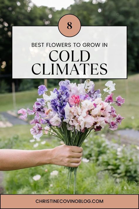 Discover a stunning array of flowers that flourish even in chilly weather. Explore our blog for a curated list of the best cold-climate blooms to brighten your garden. Cold Climate Garden, Cold Weather Garden, Cold Weather Flowers, Best Smelling Flowers, Cottage Gardening, Cold Climate Gardening, Roadside Stand, Flower Explosion, Traditional Flowers