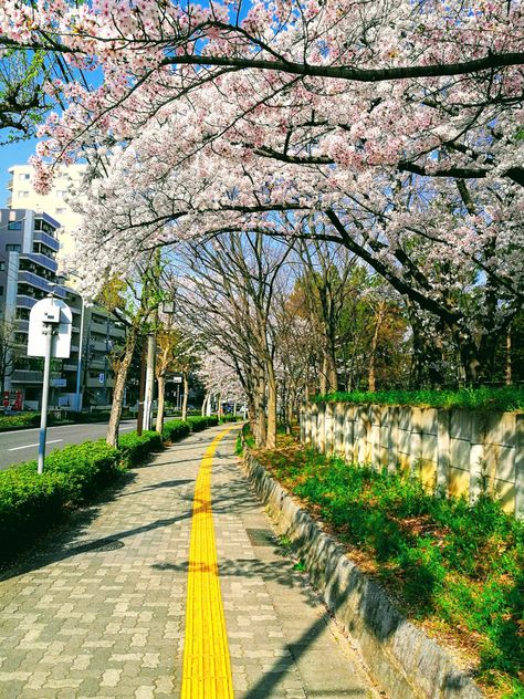 Yamazaki, Nagoya in Spring #JapanPhotos, #Photo, #Photography, #PhotographyInJapan, #Photos, #Pix, #Reddit, #RedditJapanPhotos https://www.alojapan.com/338529/yamazaki-nagoya-in-spring/ . Nagoya, Japan Nagoya, Japan Country, Nagoya Japan, Japan Aesthetic, Beautiful Landscape Wallpaper, Beautiful Landscape, Landscape Wallpaper, Photo Photography