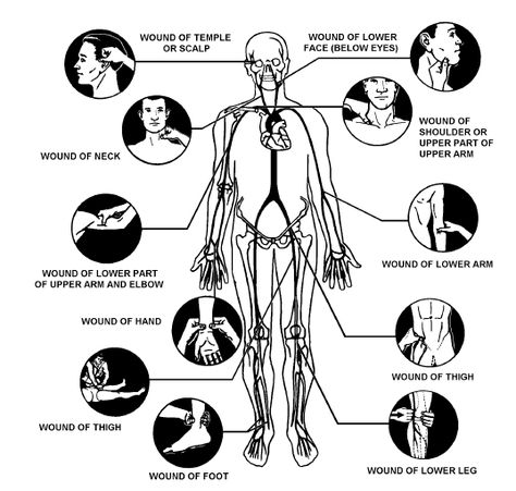 Human Pressure Points, Pressure Points Chart, Damsel In Defense, Self Defence Training, Survival Books, Self Defense Women, Self Defense Tips, Pressure Point, Self Defense Techniques