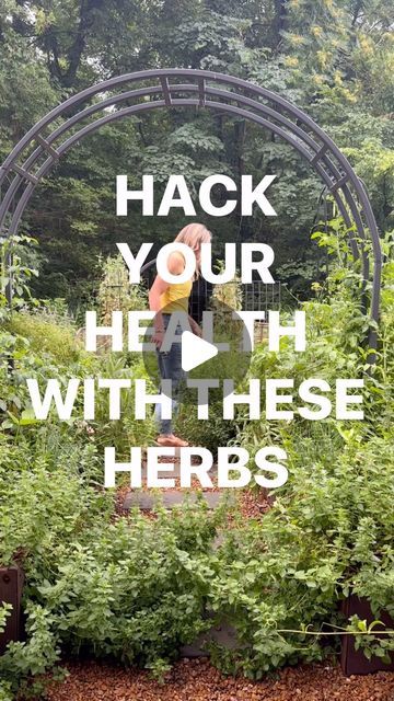 Nicole Johnsey Burke on Instagram: "Comment HERBS to get the Herb Garden Guide for free and grow your own herbs with me this summer. 

Herbs are one of the best health hacks and here’s the thing—-HOMEGROWN HERBS keep more of all their properties and vitamins than store bought. 

There’s no better way to naturally improve your health with something you can pick from your backyard, front porch or patio. 

Use these herbs as fresh spices, as teas, tisanes, essential oils, in soups and stews and dips-there are literally 100s of ways to use herbs-to feel better. 

So, which hack are you gonna try!? 

Comment HERBS to get the Herb Garden Guide for free today and start your Herb garden this week. 🌿

#herbgarden #herbs #gardentips" Herb Garden, Nature, Homegrown Herbs, Summer Herbs, Health Hacks, Fresh Spices, Best Health, Garden Guide, Grow Your Own