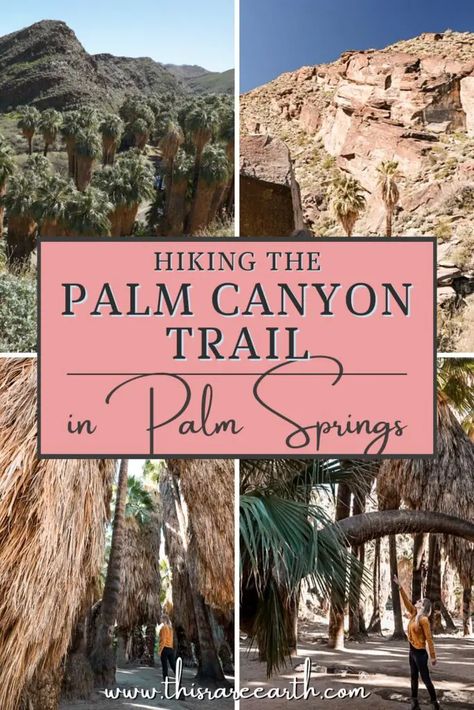 Hiking Palm Canyon Trail in Palm Springs - This Rare Earth Hiking Palm Springs, Palm Springs Hiking Trails, Palm Springs Hikes, Desert Hiking Outfit, 2023 Adventure, Palm Springs Hiking, California Hiking, Palm Canyon, California Hikes