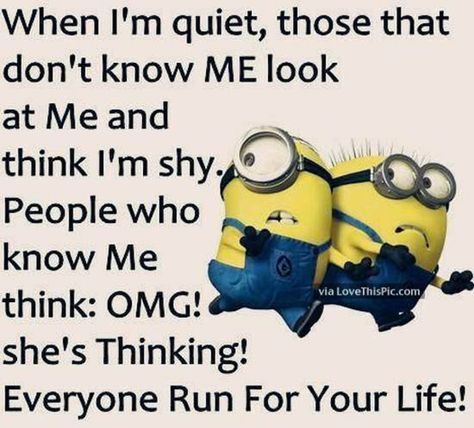 Grumpy Cats, Minion Humor, Funny Minion Pictures, Funny Minion Memes, Minion Pictures, Minion Jokes, Memes Lol, Carl Grimes, Minion Quotes