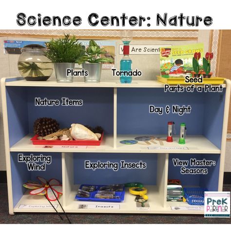 Science Center: Nature Science Area For Preschool, Science Discovery Center Kindergarten, Science Discovery Center, Science Areas For Preschool, Different Centers For Preschool, Science Area Ideas For Preschool, Science And Nature Center Preschool, Science Learning Centers For Preschool, Preschool Discovery Center