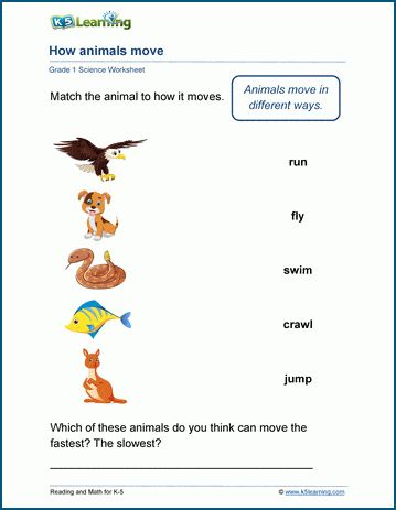How Animals Move Worksheets. Animals can be classified by how they move (run, swim, crawl, fly ...). In these worksheets, students match animals to how they move. Free | Printable | Grade 1 | Science | Worksheets. Grade 1 Science Worksheets, Grade 1 Science, Movement Of Animals, Early Science, English Worksheets For Kindergarten, Animal Movement, Cursive Writing Worksheets, Matching Worksheets, Work Sheet