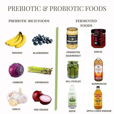 Prebiotic And Probiotic, Prebiotic Foods, Vegan Probiotics, Gut Health Diet, Gut Health Recipes, Natural Probiotics, Prebiotics And Probiotics, Probiotic Foods, Holistic Nutrition