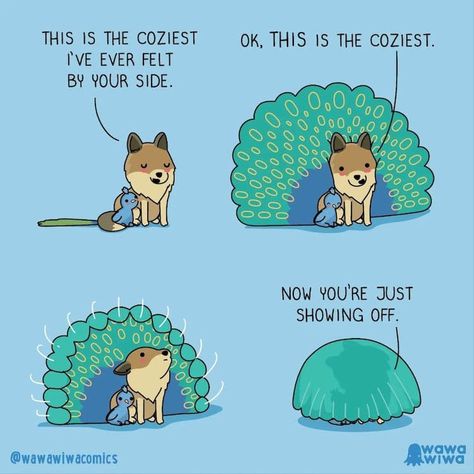 Funny Animal Comics, Kawaii, Humour, Cute Animal Memes, Cute Funny Cartoons, Online Comics, Cute Kawaii Animals, Cute Jokes, Cute Doodles Drawings