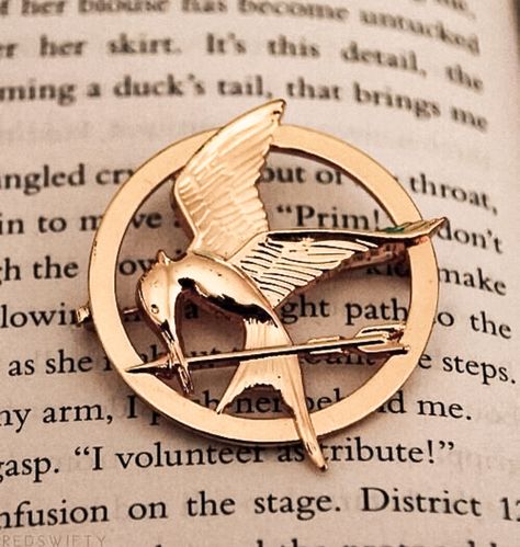 The Hunger Games, The Hunger, Mockingjay, Hunger Games, We Heart It, Lost