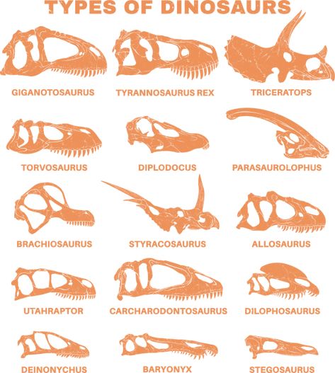 Evolution Of Dinosaurs, Scientifically Accurate Dinosaurs, Stegasorus Dinosaur, Paleoart Dinosaurs, T Rex Fossil, Types Of Dinosaurs, Dinosaur Types, Dinosaur Poster, Table For Kids