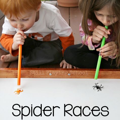 Kid Friendly Halloween Party Games, Fête Spider Man, Spider Games, Spider Man Party, Kid Friendly Halloween, Avenger Birthday Party, Spiderman Birthday Party, Halloween Games For Kids, Birthday Activities