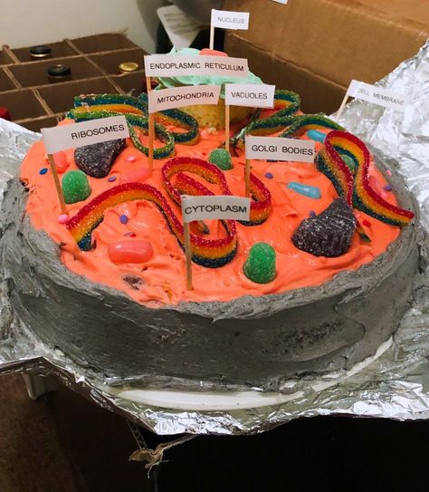 Montessori, Cake Cell Project Ideas, Animal Cell Cake Project Ideas, Animal Cell Cake Project, Cell Cake Project, Animal Cell Cake, Planet Cell, 3d Animal Cell Project, Plant Cell Cake