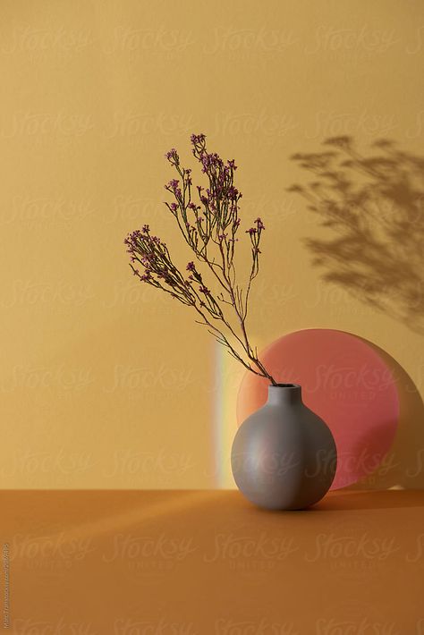 Mexican Art, Vase Photoshoot, Ancient Mexican Art, Flower In Vase, Orange Circle, Jewelry Photoshoot, Ceramics Ideas, Background Download, Color Background