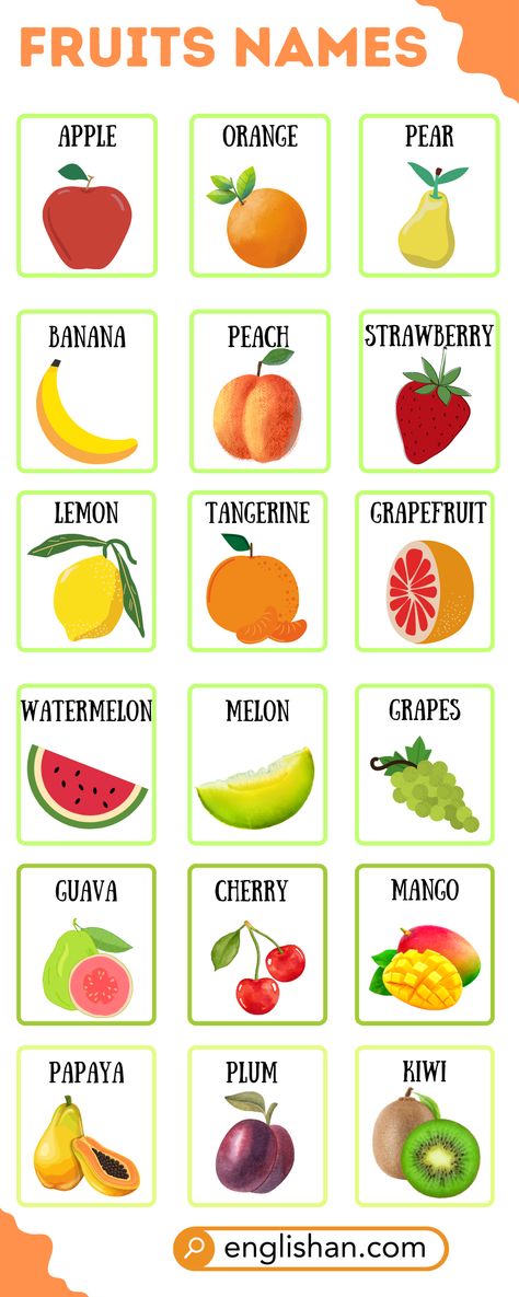 Fruit Names in English Fruits Vocabulary English, Fruit Names In English, Fruits Names In English, Easy Fruit Drawing, Fruits Chart, Fruits Name List, Fruits Name With Picture, English Kindergarten, Fruits Name