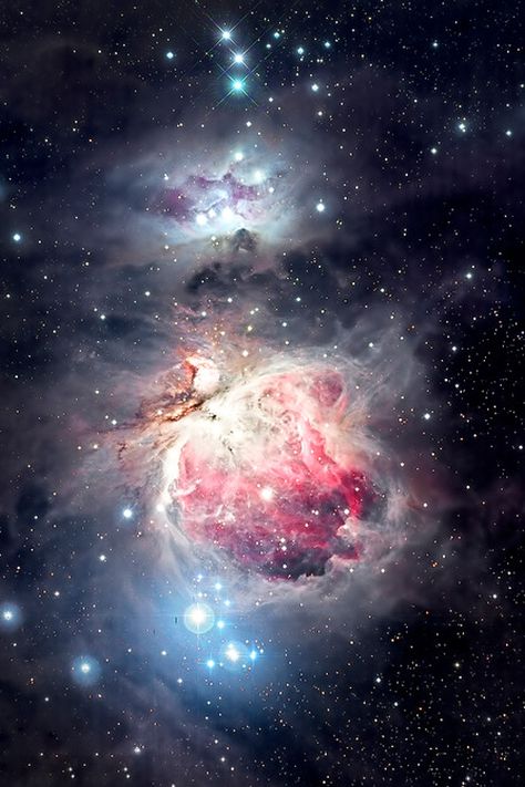 Orion Nebula (M42) and Reflection Nebula (M78) by Justin Ng IF YOU DONT BELIEVE IN GOD YOU ARE CRAZY Orion Nebula, Mars Mission, Carina Nebula, Stars Night, Hubble Space, Galaxy Space, Space Photos, Space Images, Space Pictures