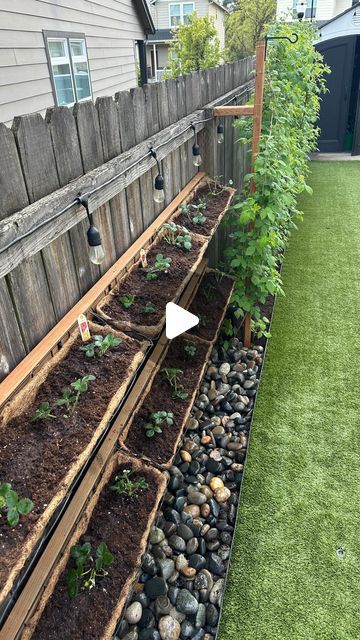 DIY.COOKING.MOMLIFE.DECOR.FASHION on Instagram: "I truly love gardening. Adding these strawberries is one of my favorite additions ❤️ tip: get ever-bearing strawberries 🍓 they will produce more/longer @walmart    #strawberry #strawberries #strawberries🍓  #planting #backyard #fence #basket  #summer #fruit #red #besthusbandever #diy #diydecor #diyideas #diyhome  #pnw #sunshine #washington #oregon #gardening #garden #fruit #miraclegro" Strawberry Trellis Ideas, Strawberries Planting, Strawberry Planters Diy, Backyard Fence Decor, Strawberries In Containers, Fence Plants, Strawberry Planters, Backyard Fence, Backyard Plants