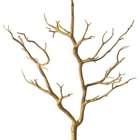 Wood Branch Decor, Tree Branch Centerpieces, Enchanted Forest Decorations, Artificial Tree Branches, Tall Vase Decor, Tree Branch Wall Decor, Branch Centerpieces, Vase With Branches, Long Vases