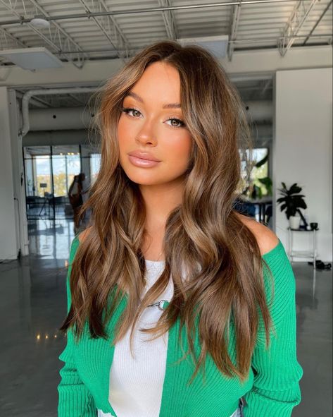 Light Cappuccino Brown Hair, Fall 2023 Beauty Trends, Chocolate Honey Hair, Light Chocolate Brown Hair With Highlights, All Over Color Ideas, Bronze Brunette Hair, Hair Trends Fall 2023, Golden Chocolate Brown Hair, Fall Light Brown Hair