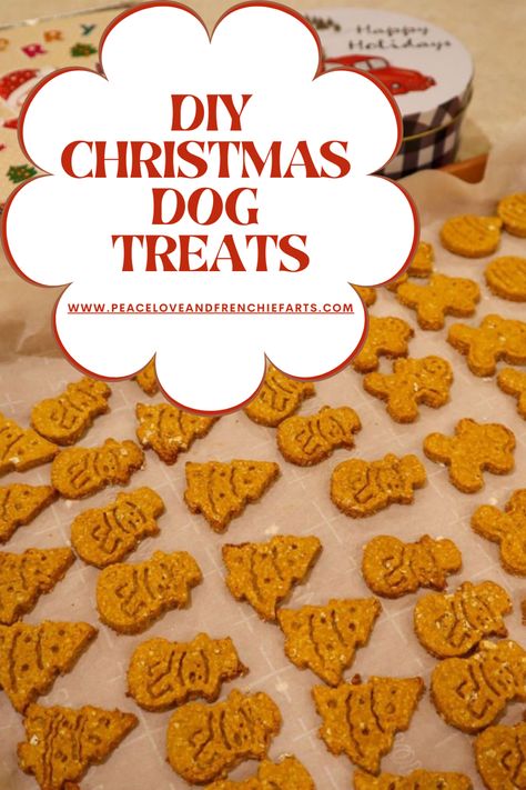 Peanut Butter Oat Dog Treats, Homemade Christmas Dog Treats, Oat Dog Treats, Dog Treats Recipes, Holiday Dog Treats, Dog Cookie Recipes, Pumpkin Peanut Butter, Pet Recipes, Peanut Butter Oat