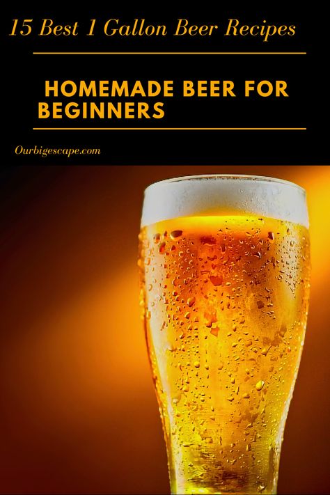 Beer Brewing Recipes - You’ve already impressed your friends with your homebrew – now impress them with your knowledge about 1 Gallon Beer Recipes! Warning: Any sharing of these random beer facts at non-beer related events may cause you to be labeled a “beer geek.” Read on with caution! Home Beer Brewing, Brewing Beer At Home, How To Make Beer At Home, Lemon Beer, Popular Alcoholic Drinks, Beer Recipes Homebrew, Beer Brewing Recipes, Beer Facts, Craft Beer Recipes