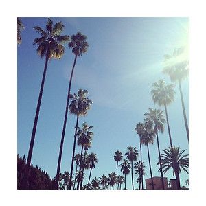 & palm trees. Tumblr, Rio De Janeiro, Los Angeles, 2014 Tumblr Aesthetic Wallpaper, Tumblr Girly Aesthetic 2013, 2010s Aesthetic, Summer Tumblr, 2010s Nostalgia, Pink Tumblr Aesthetic