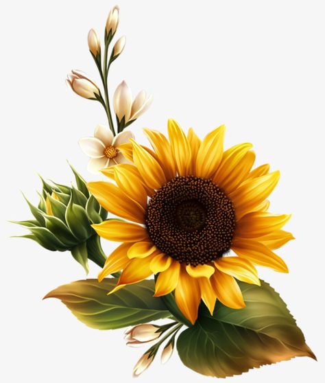 one,to the sun,flowers,sunflower,yellow,green leaves,buds,sun,green,leaves,picture clipart,sunny clipart 자작나무 그림, Sunflower Leaf, Grass Tree, Sunflower Drawing, Hur Man Målar, Sunflower Pictures, Sunflower Tattoos, Leaf Plant, Sunflower Wallpaper