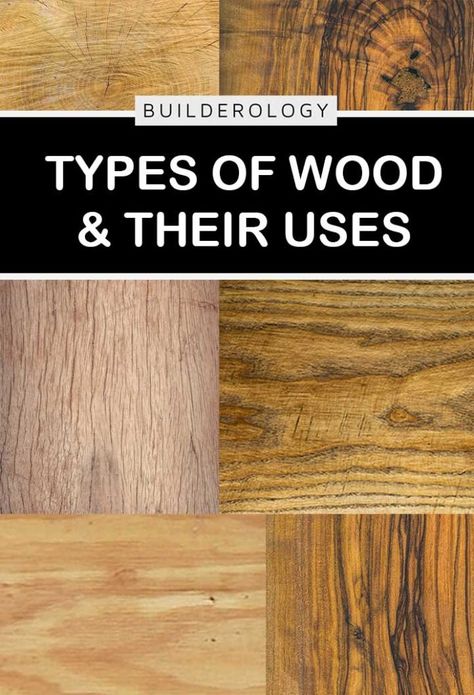 A-Z list of different wood types, their characteristics, and examples what they are used for. Types Of Wood For Furniture, Wood Types Chart, Different Kinds Of Wood, Types Of Timber, Woodworking Desk, Wood Supply, Woodworking Chair, Wood Types, Pressure Treated Wood